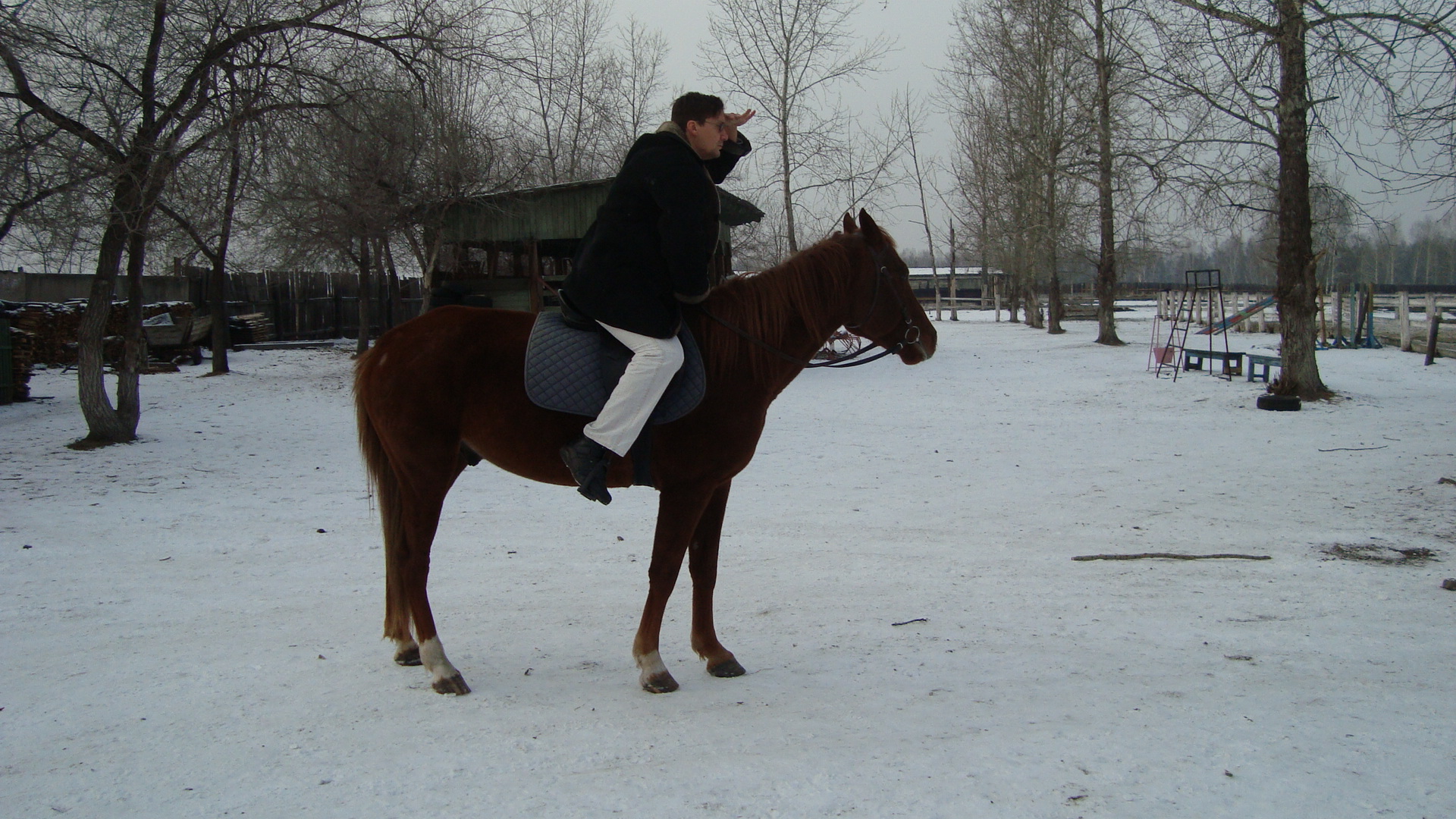 Вихри враждебные веют над нами...