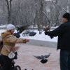 Ангарчане