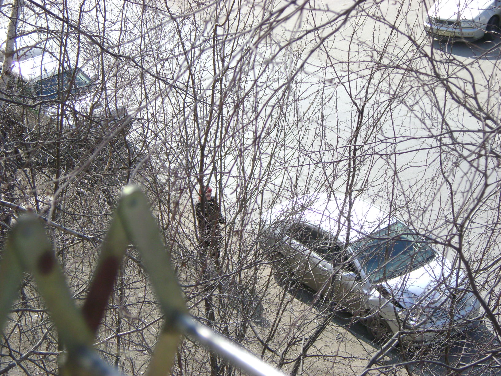 Женщина за рулем забодала (22 апреля )машину инкасаторов  