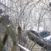 Женщина за рулем забодала (22 апреля )машину инкасаторов  