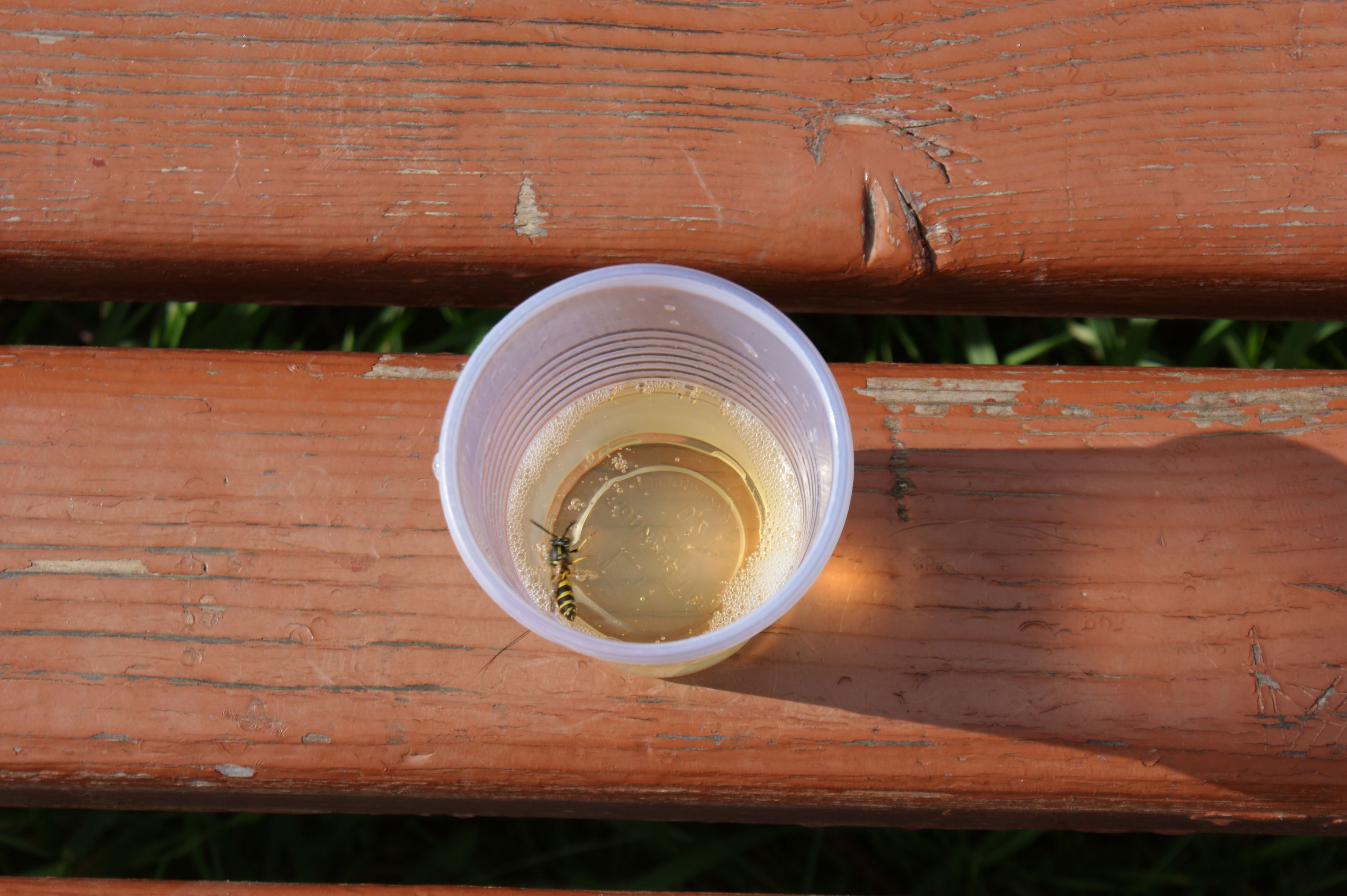 Навеяло одним снимком