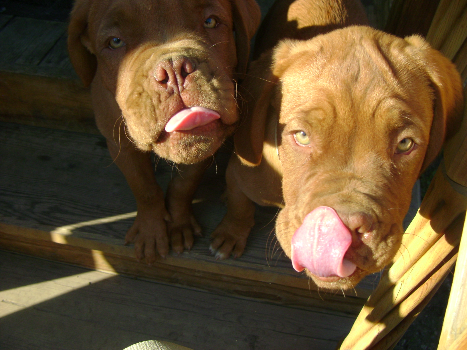 Красавчики