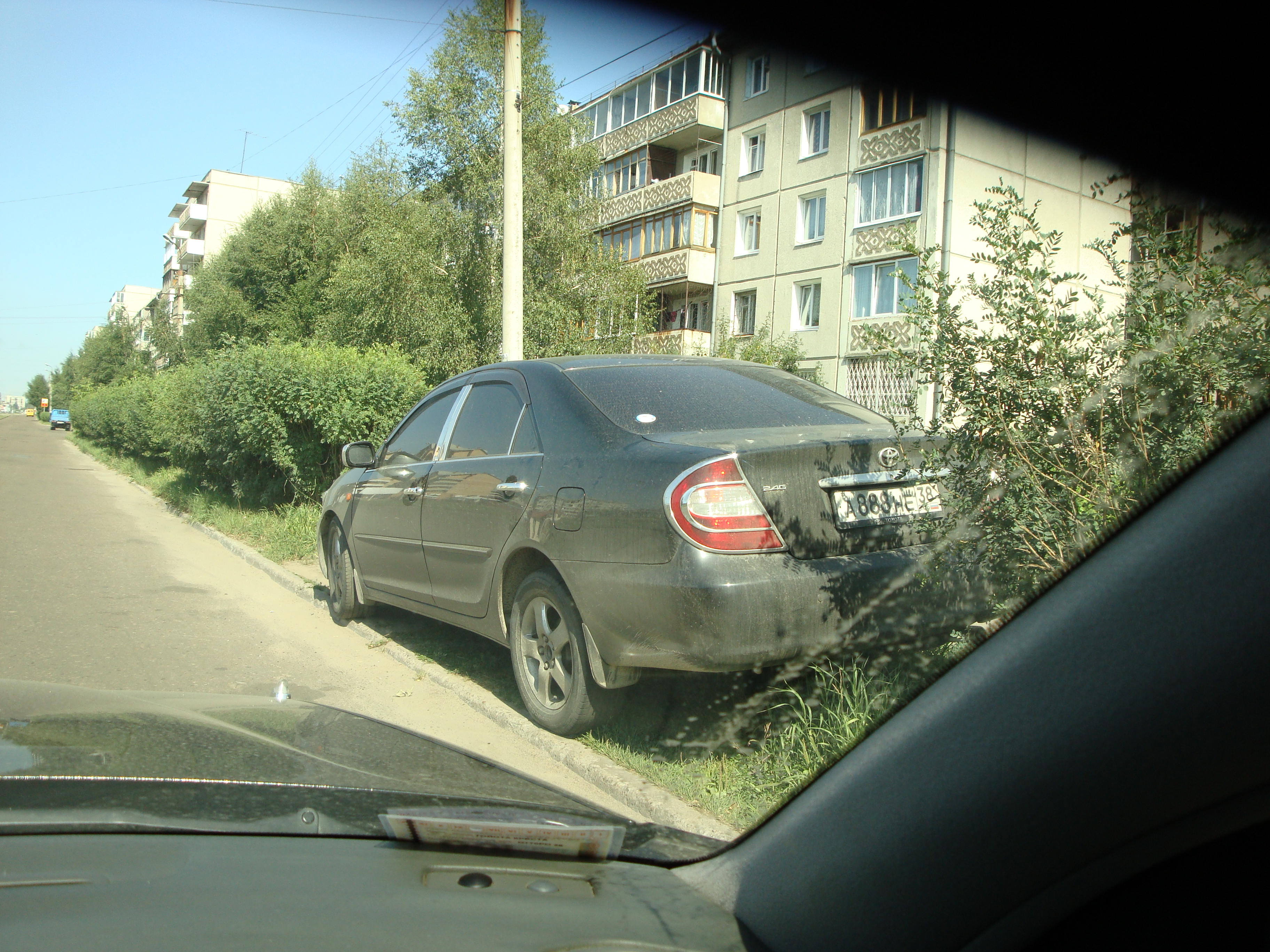 Не кустики дык камрики!