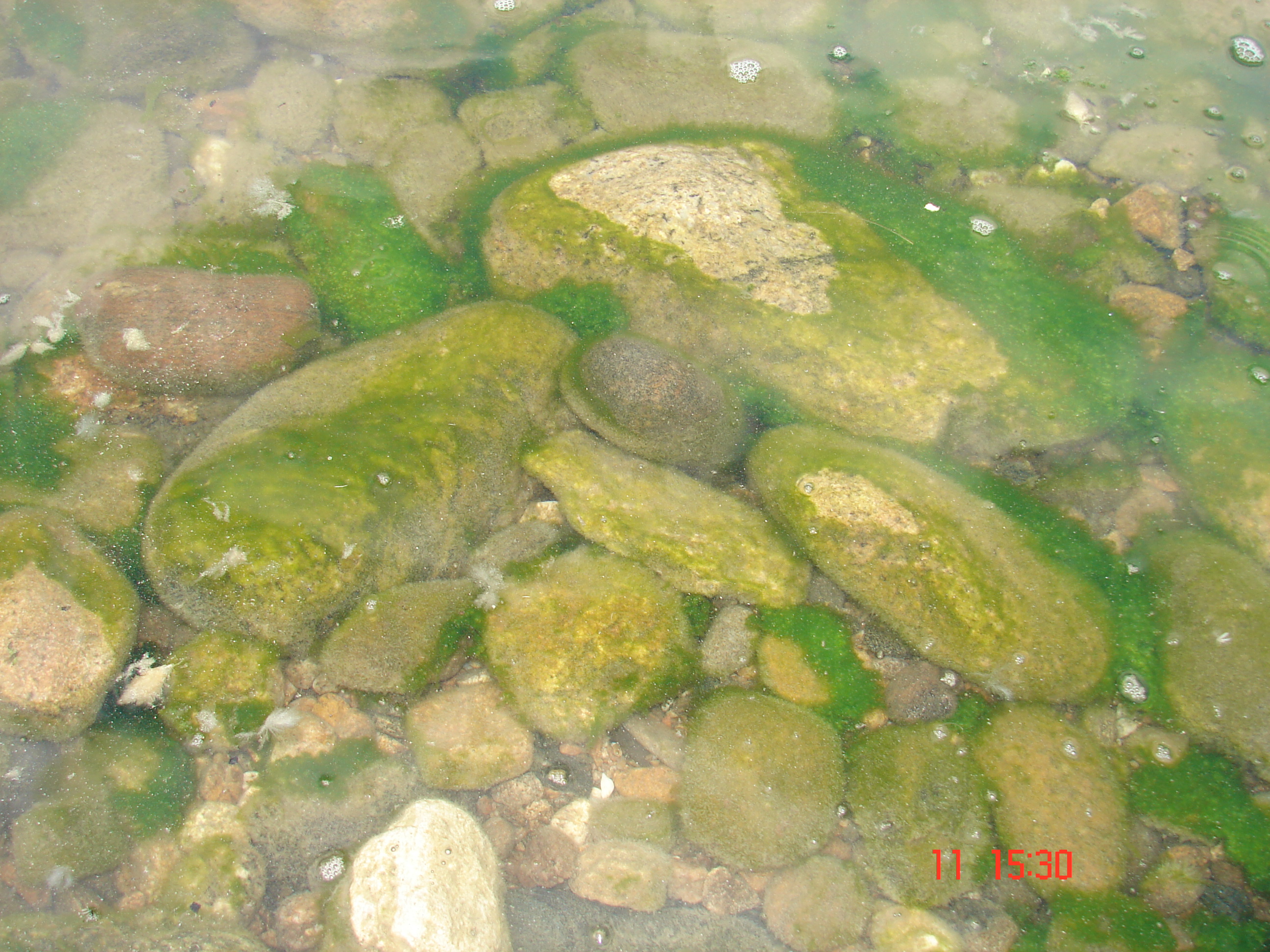 Байкал..камни...