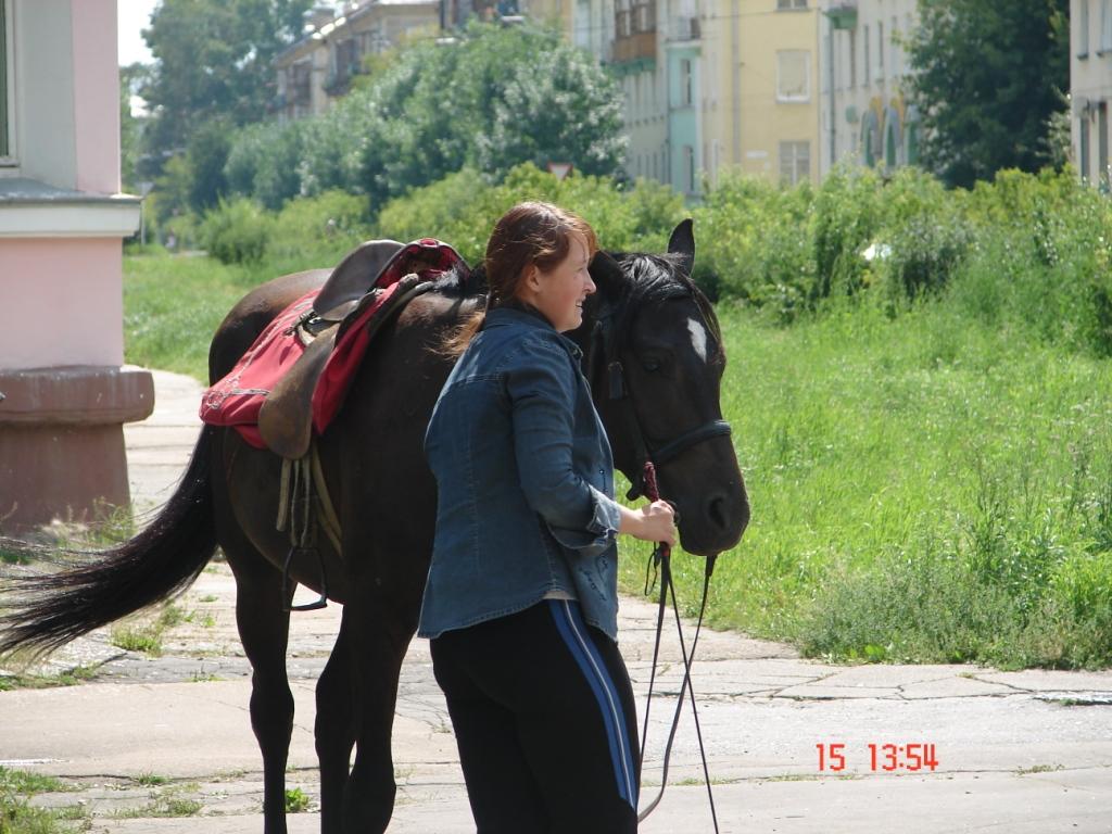 всё  смешалось,кони,люди....