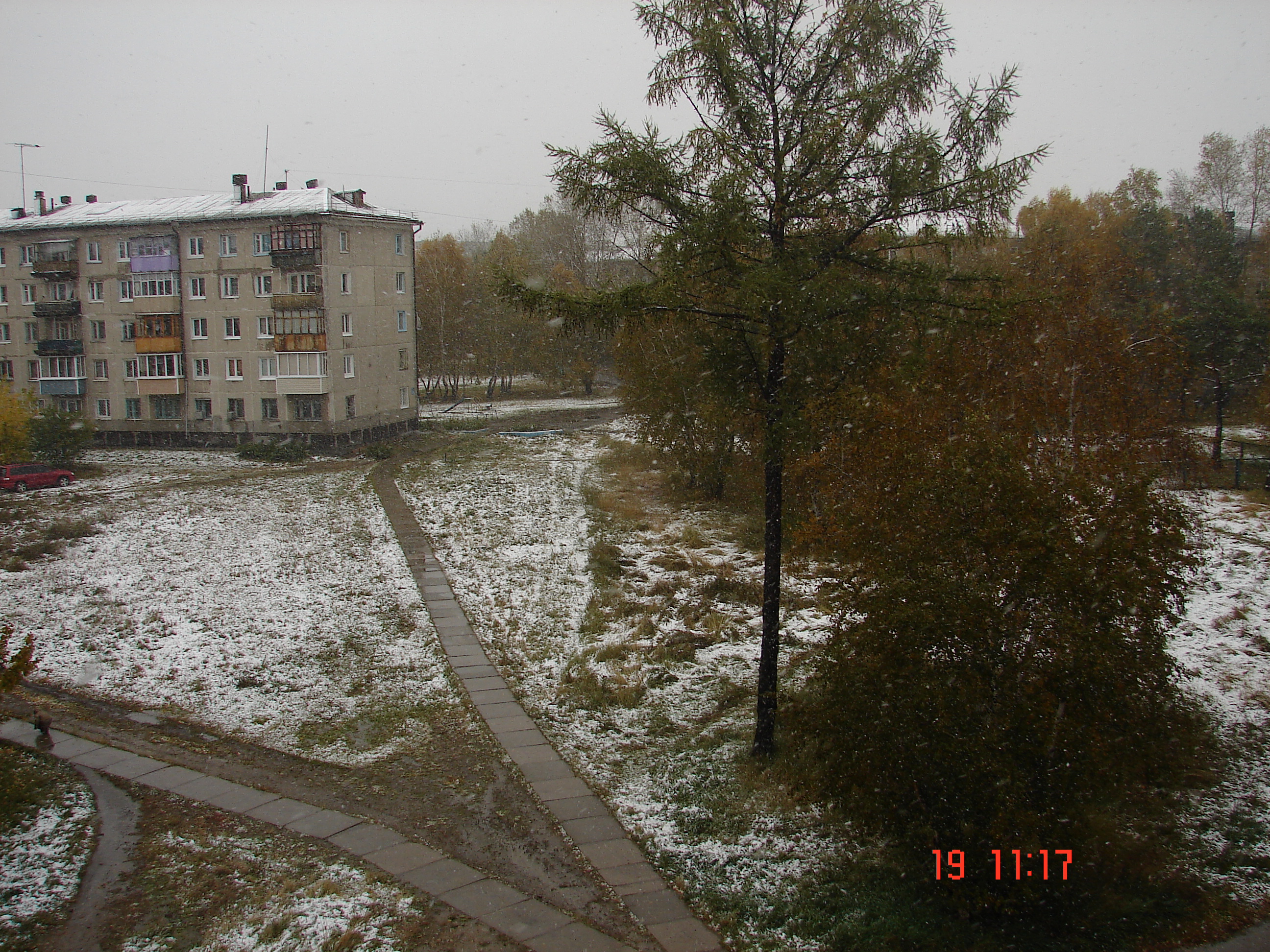 недавний  снег.........