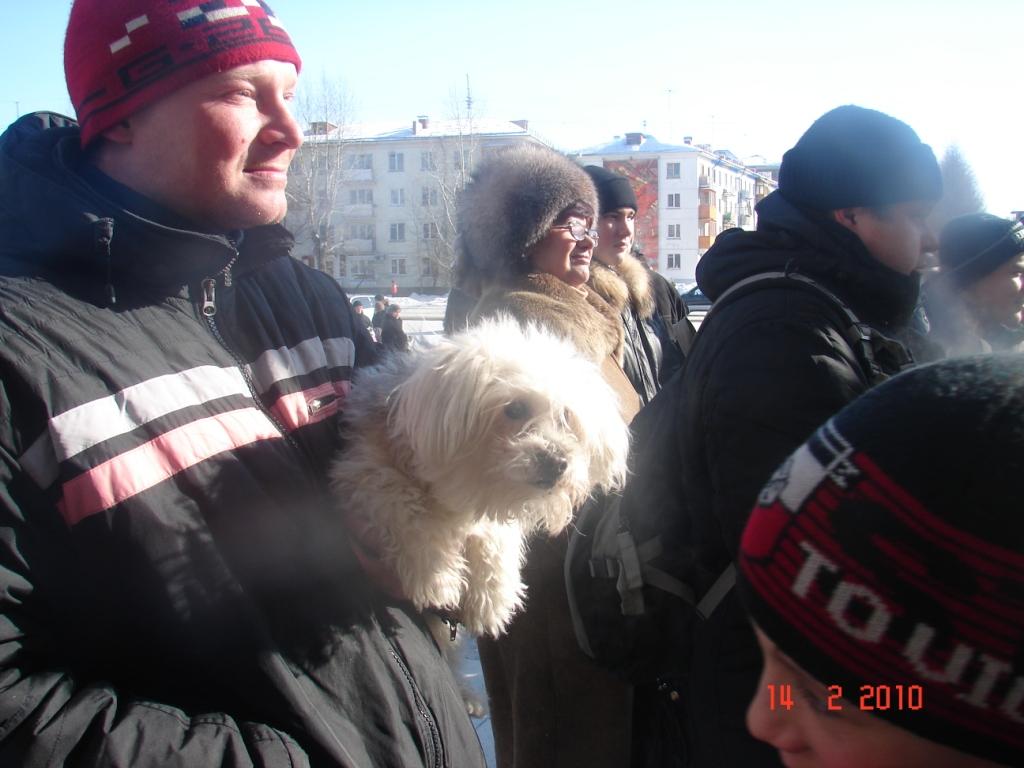 очень собачка понравилась....