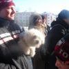 очень собачка понравилась....