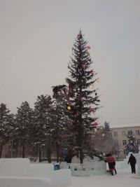 DSC07454: тщедушная ёлка нынче:(