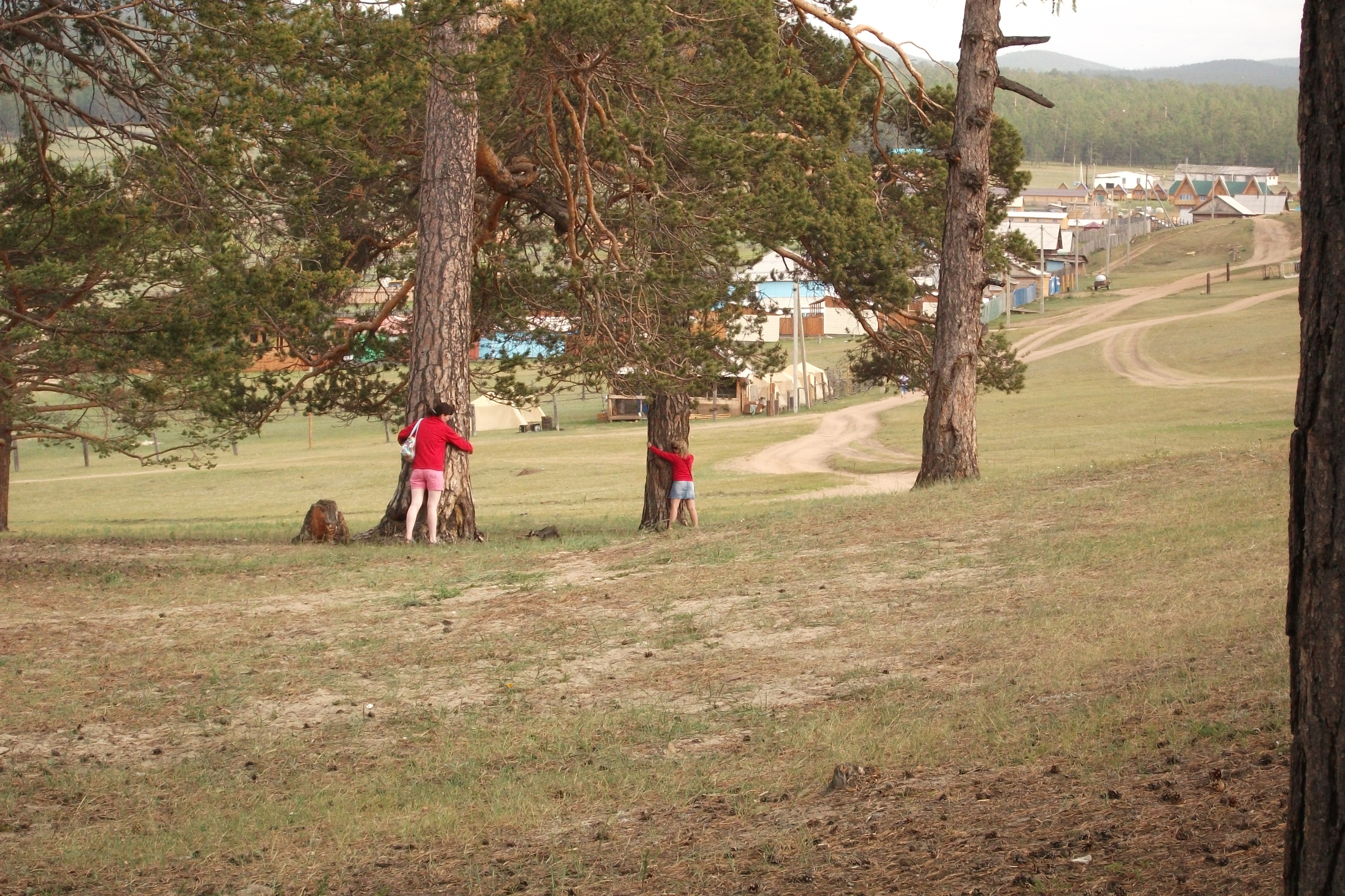 Магнитные деревья