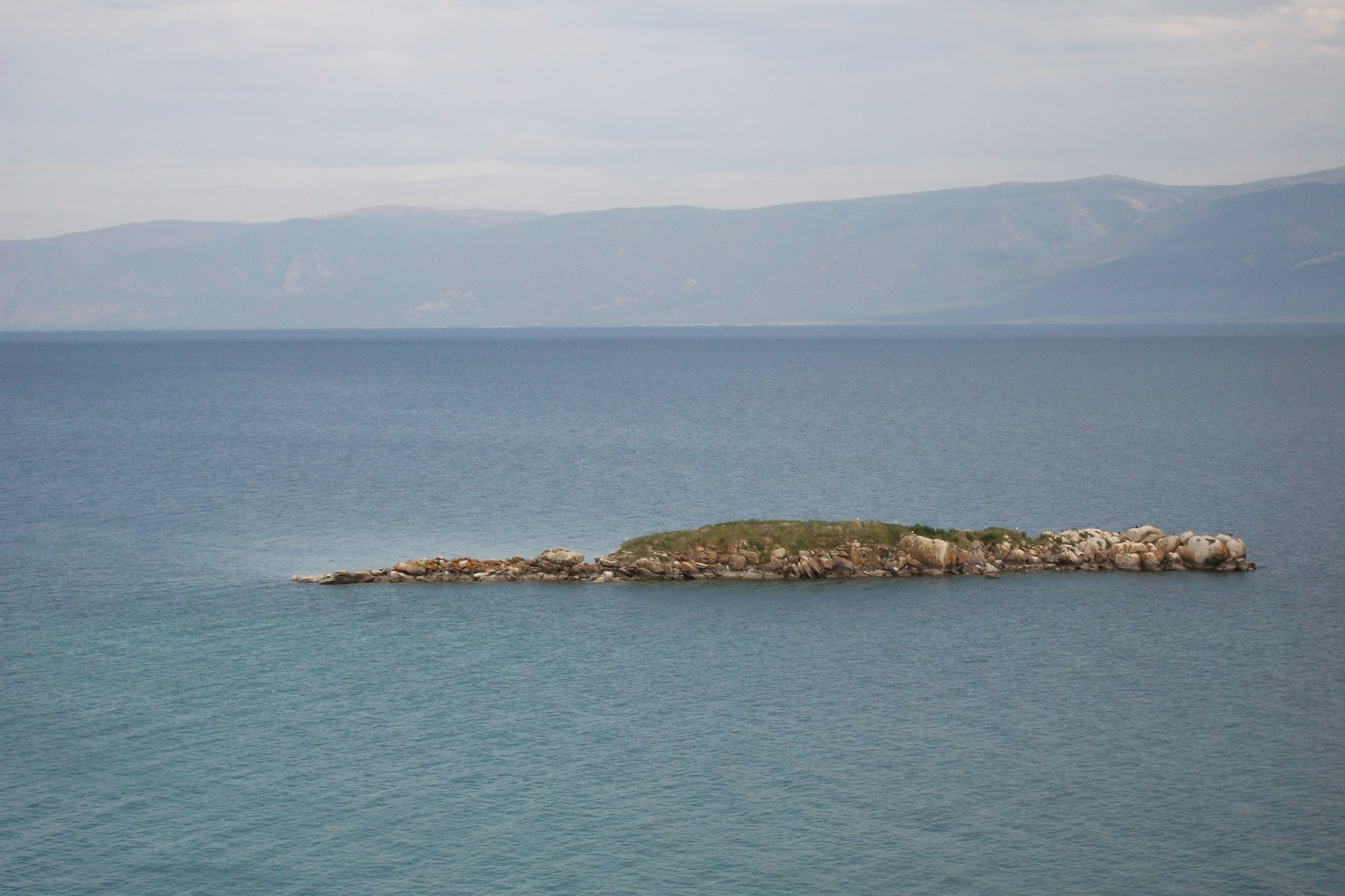 Большая крокодила