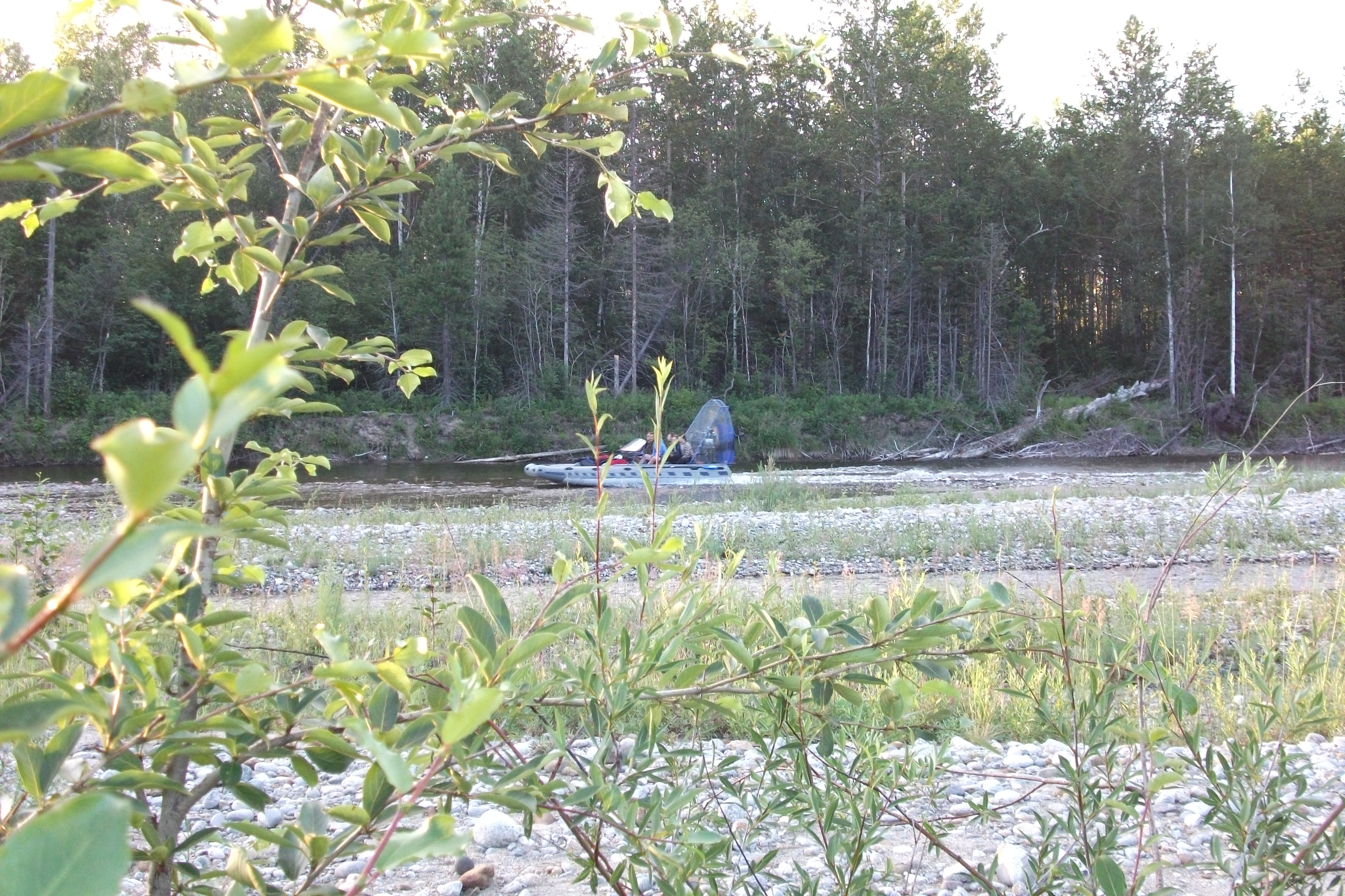 Хрень с пропеллером