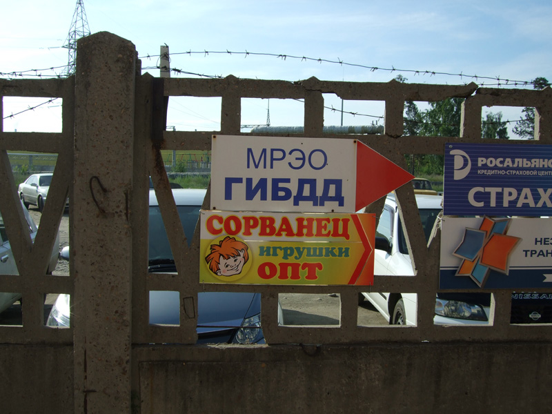 Гайцы-сорванцы