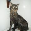DSCF6554 DSCF6554