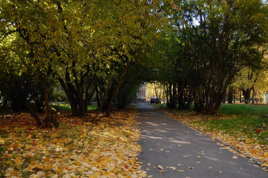 Осень. улочка