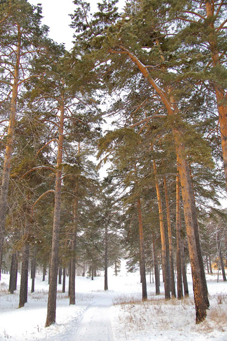 Парк им 10-летия Ангарска