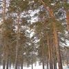 Парк им 10-летия Ангарска