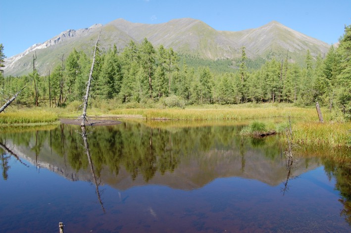 По пути на Шумак