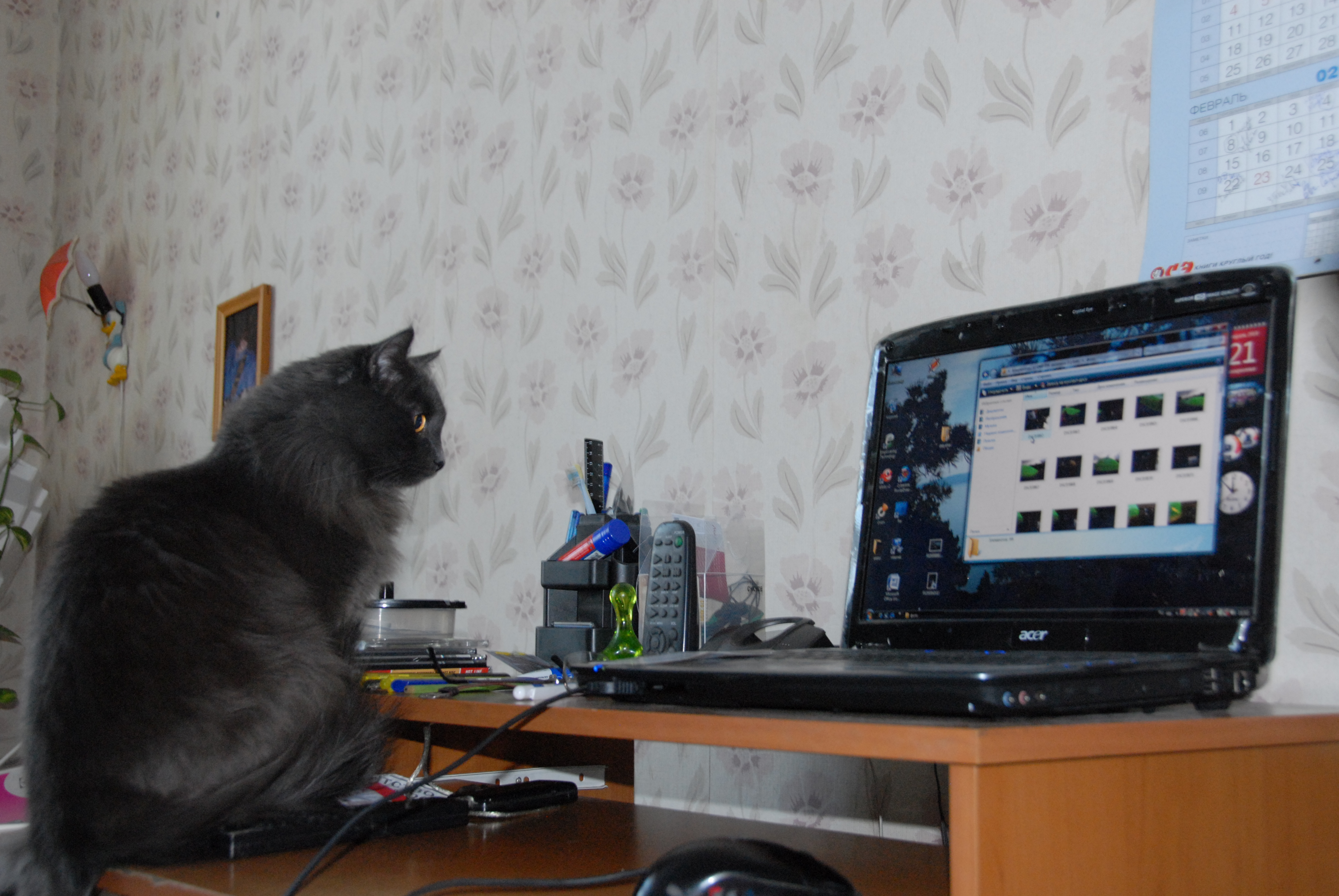 Чего это вы тут делаете?