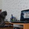 Чего это вы тут делаете?