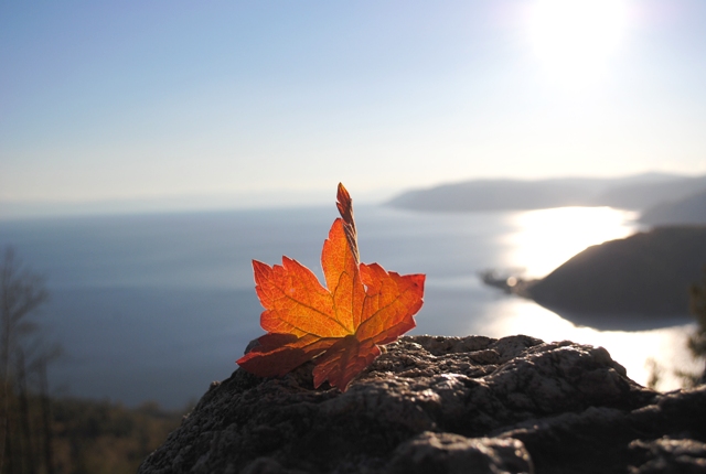 Классная осень, была.