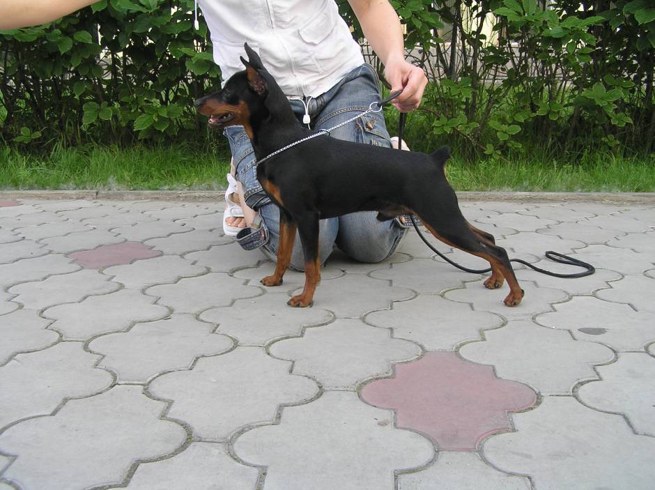 Я самый, самый...