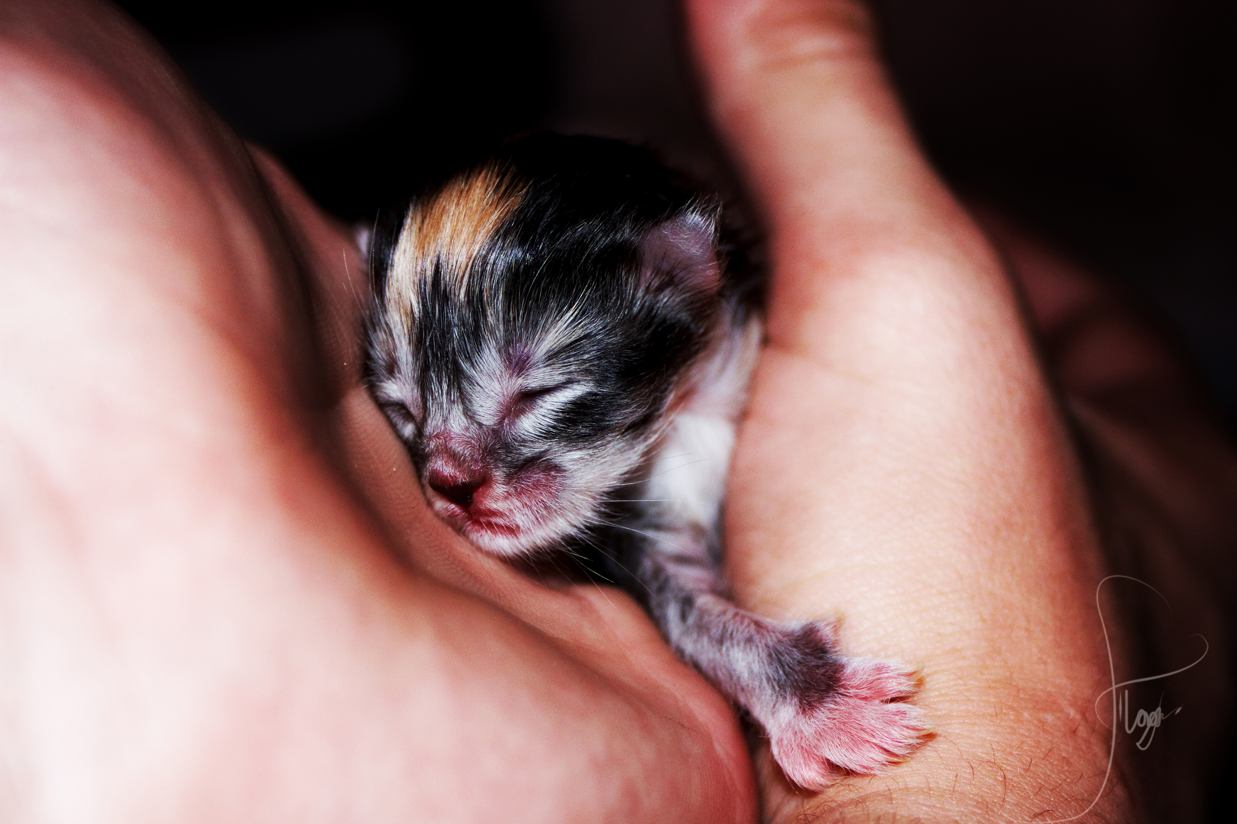 Добро пожаловать в наш мир