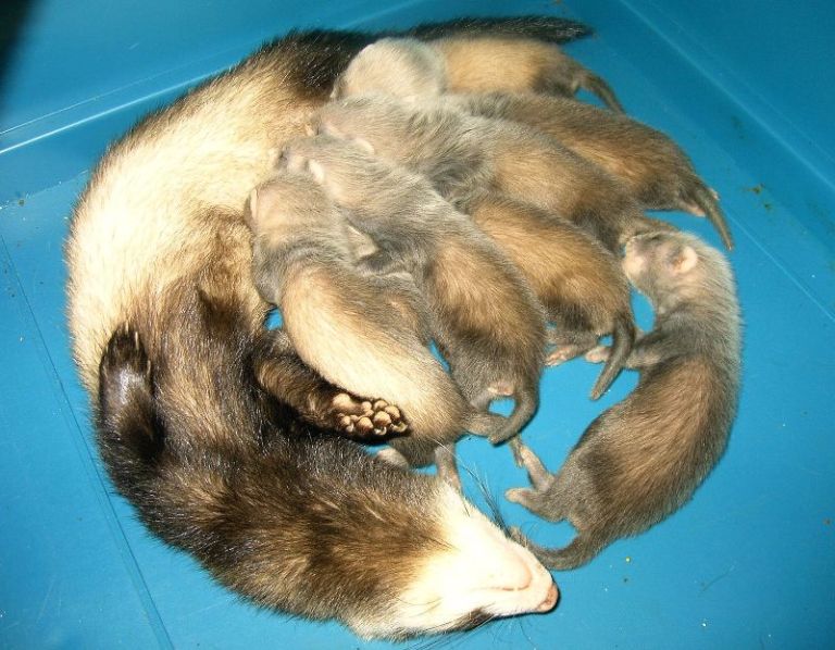 Взято с яндекс рисунки