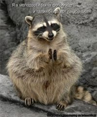 Золотая медаль и диплом