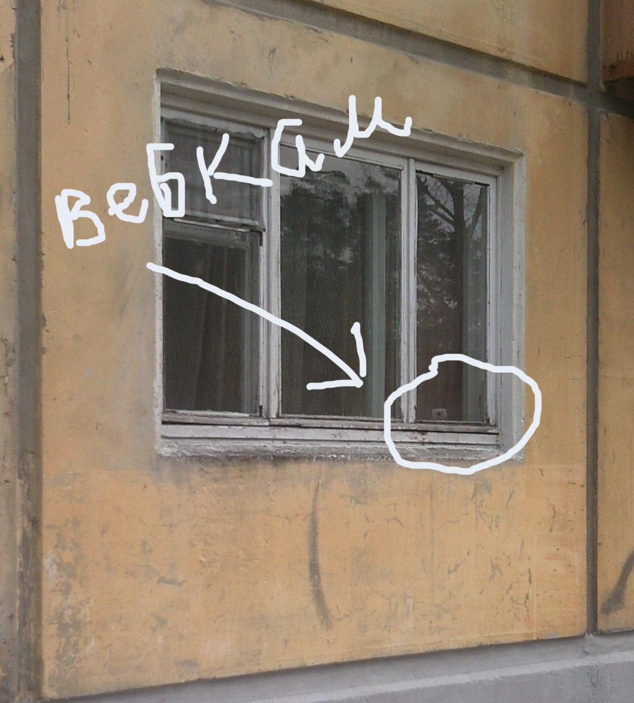 а снимали отседа