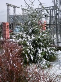 Майская зима)))