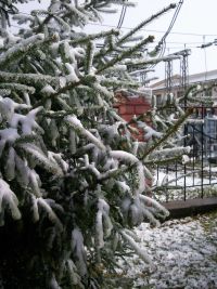 Майская зима)))