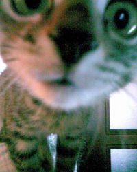 Моя девочка