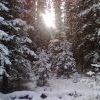 Елань (ноябрь)