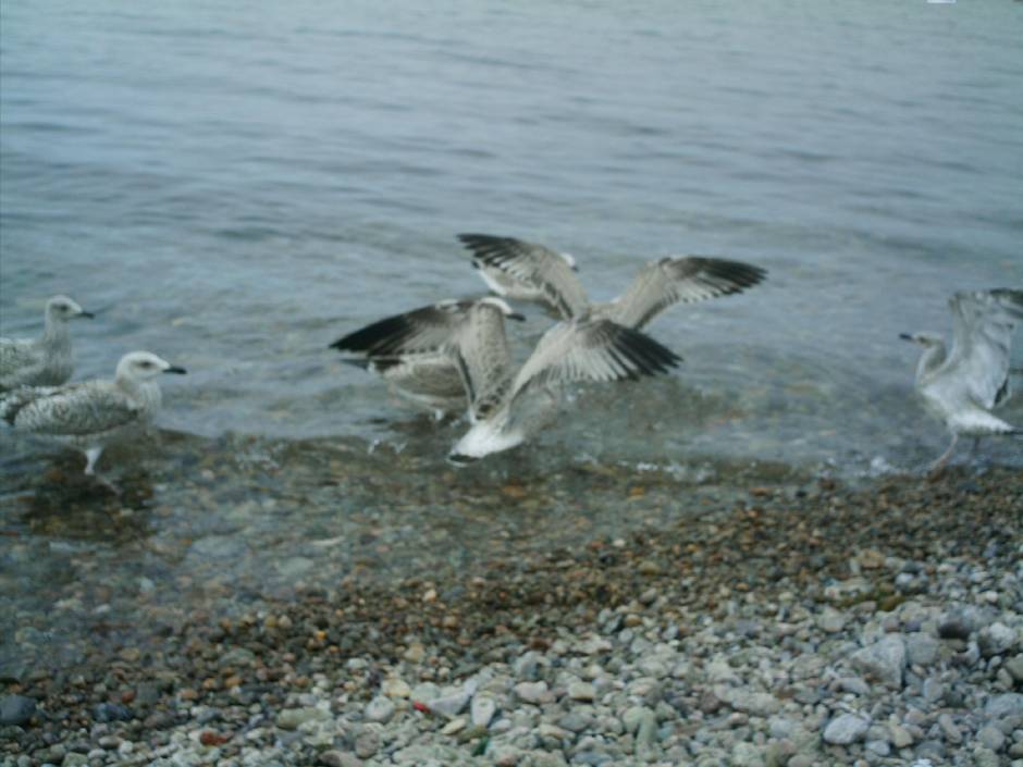 кто вперёд?