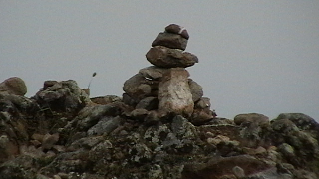 IMGA0100