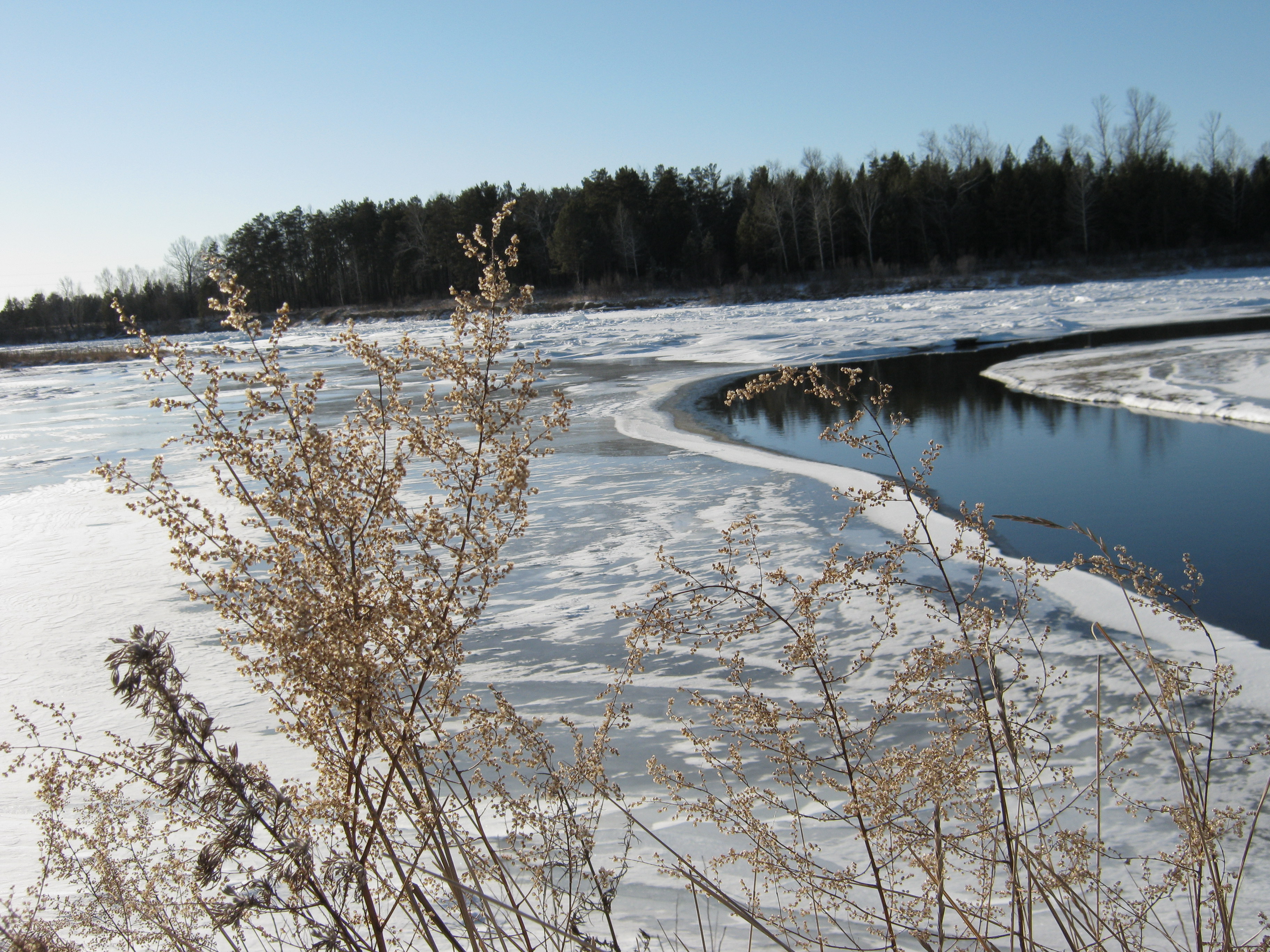 Устье Малой Еловки