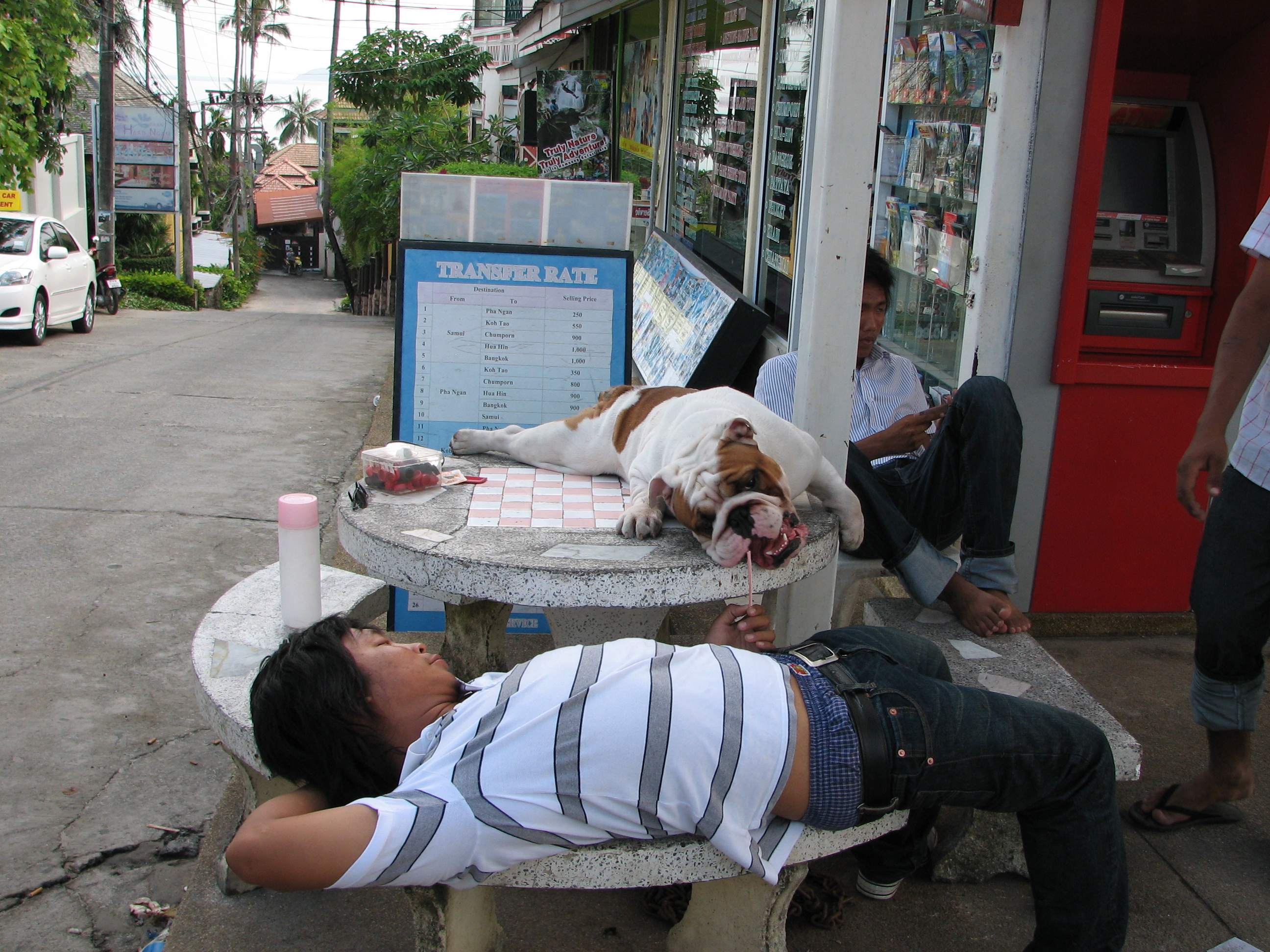 Собак. Офигенный. 