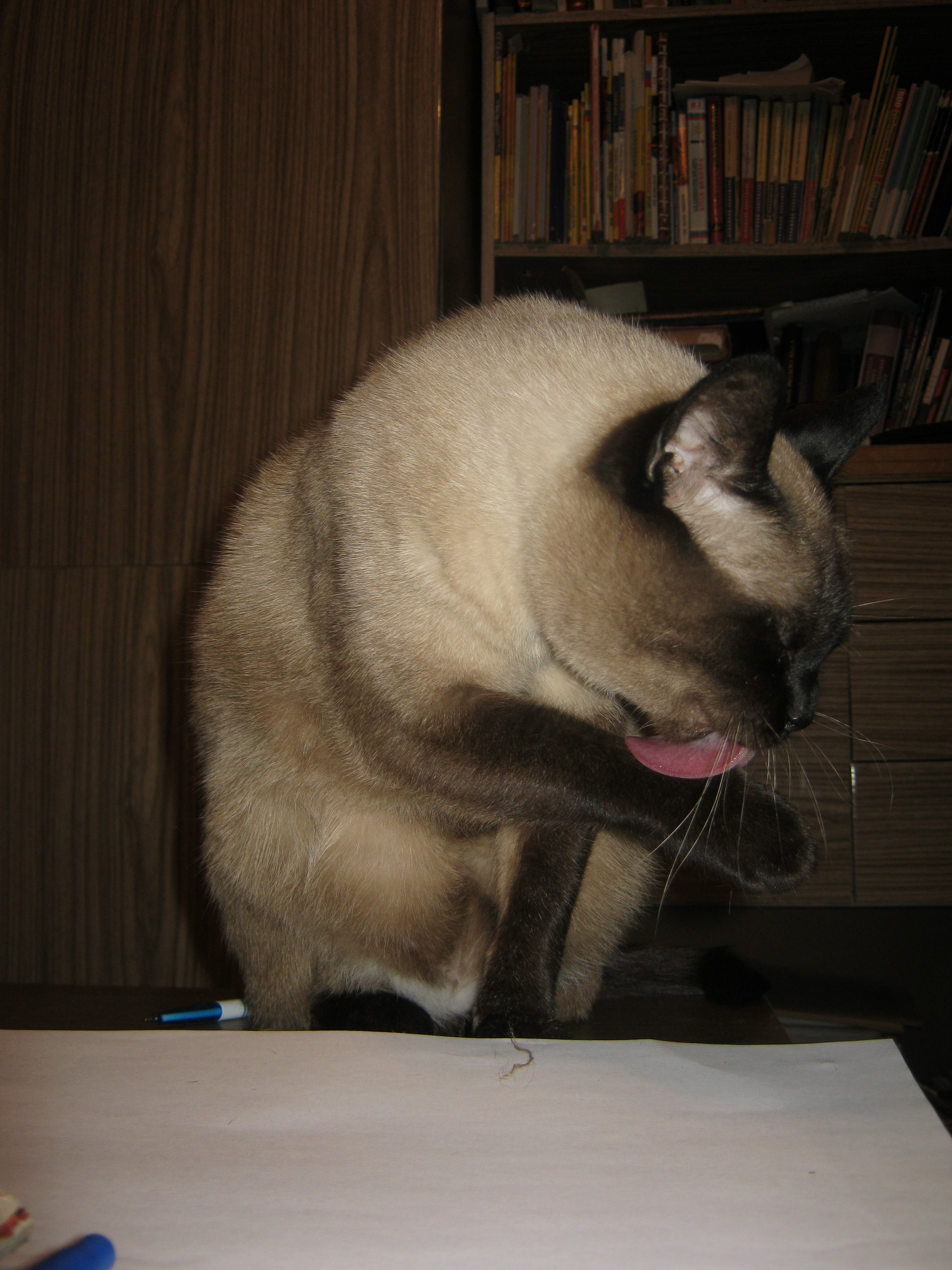 соблюдаем гигиену!