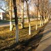 IMG 0664 VEK IMG 0664 VEK
