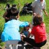 IMG 1569 VEK