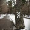 в парке строителей 22 апреля
