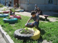 Клумбы во дворах