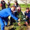 торжественная закладка аллеи торжественная закладка аллеи