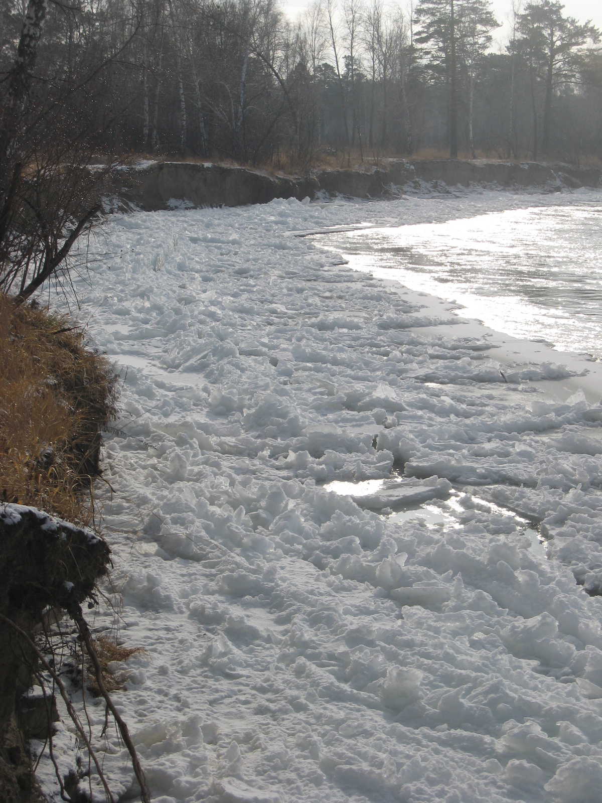 Китой замерзает