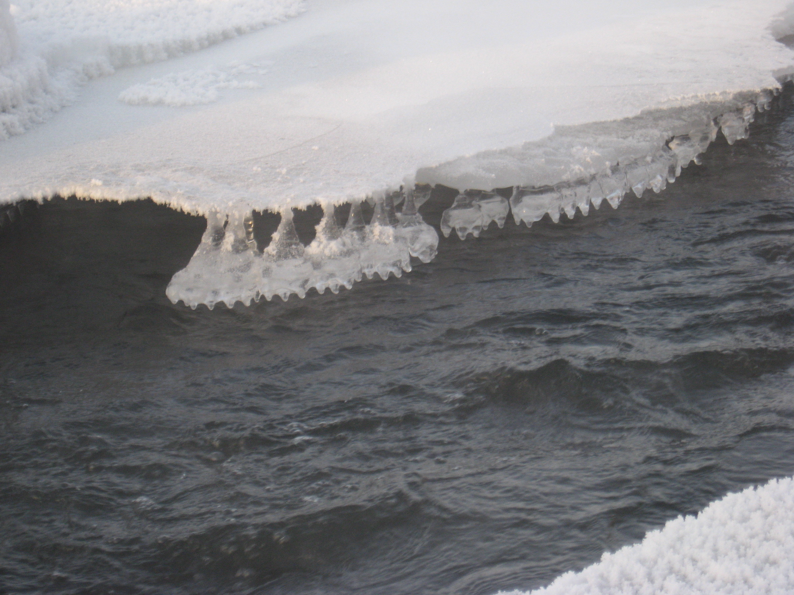 Зимние бусы Еловки