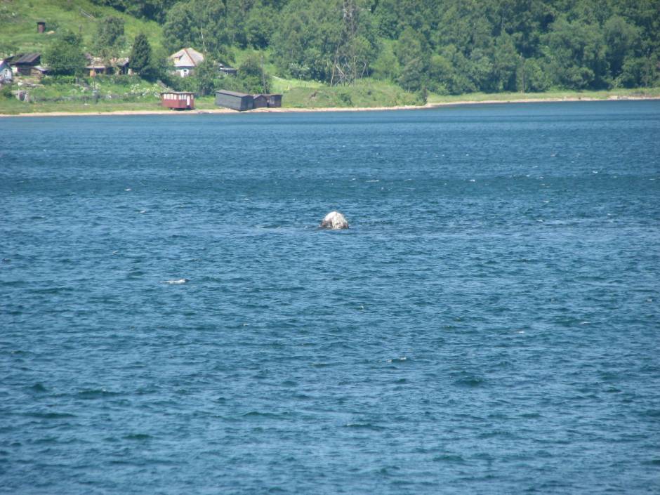 Тот самый шаман камень