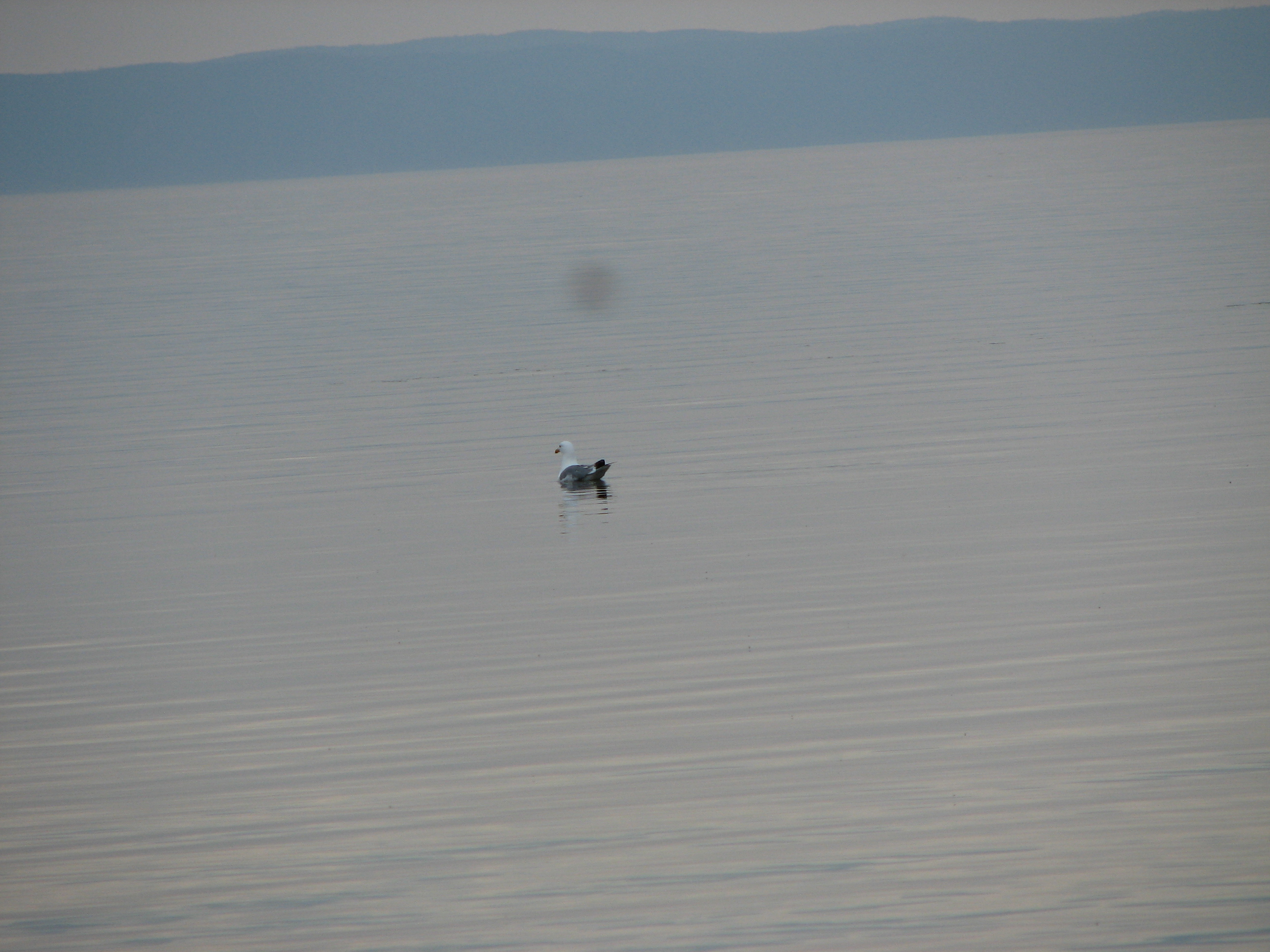 Седой Байкал