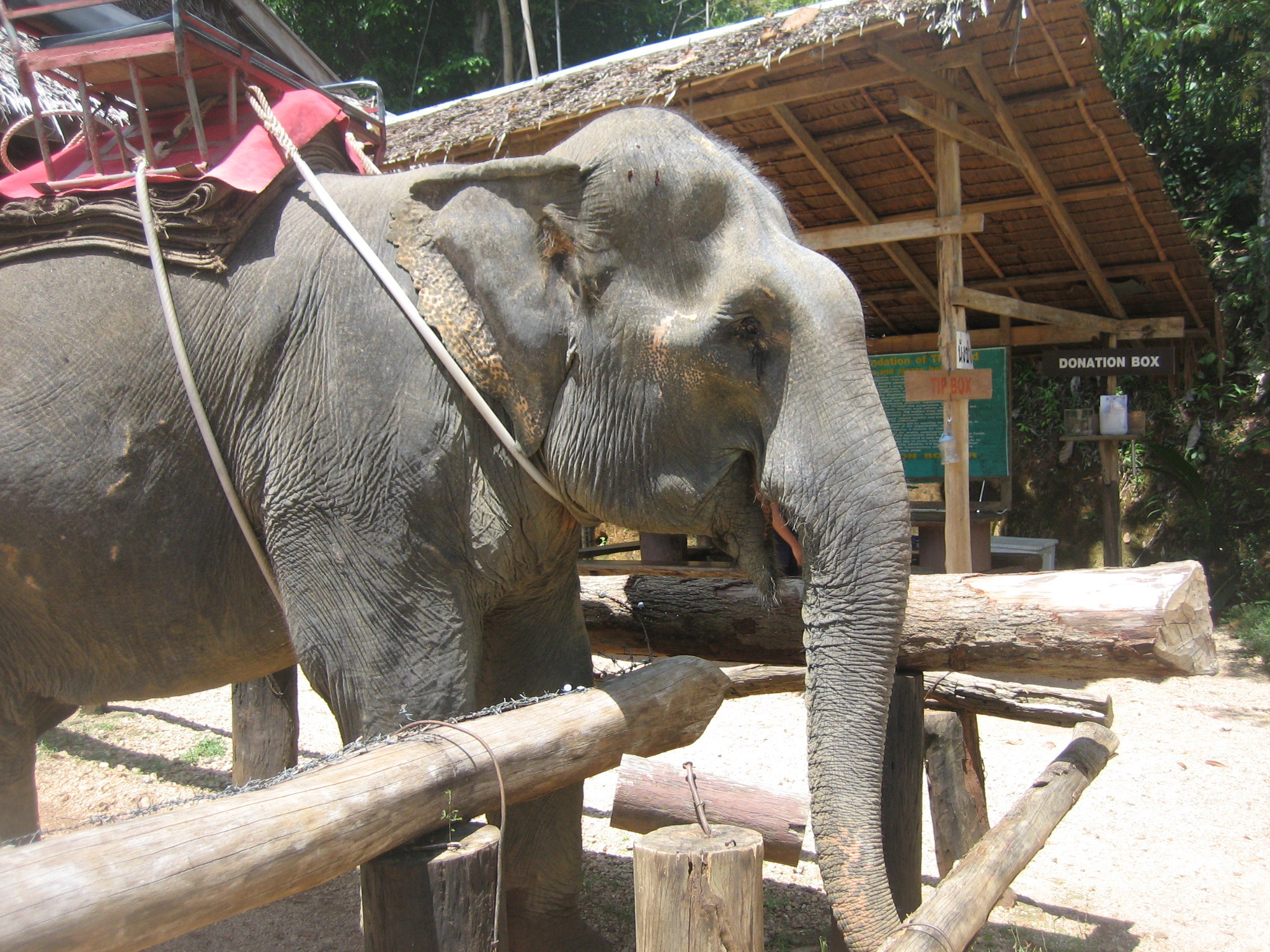 Хорошая девочка