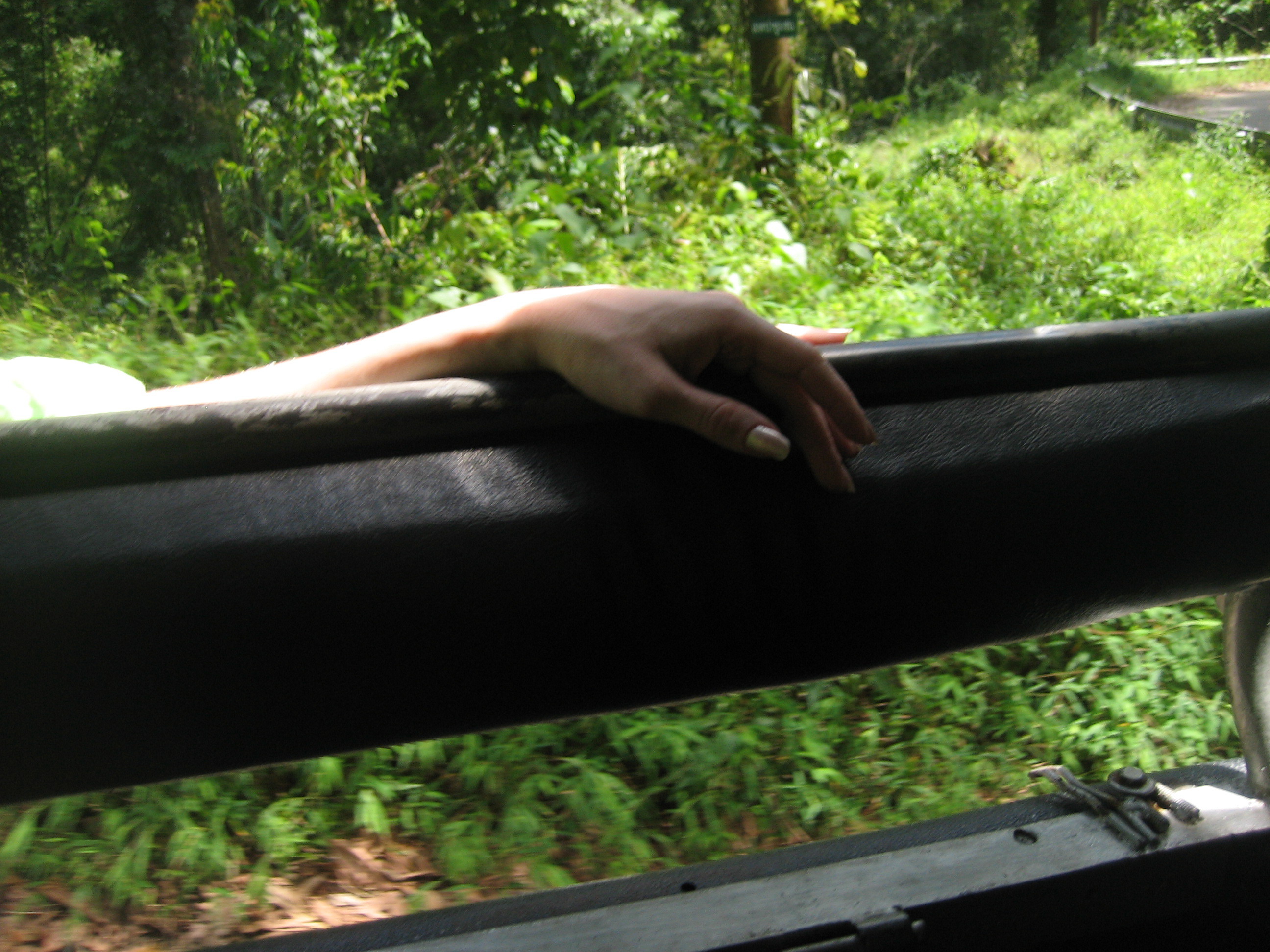 Целую ручку